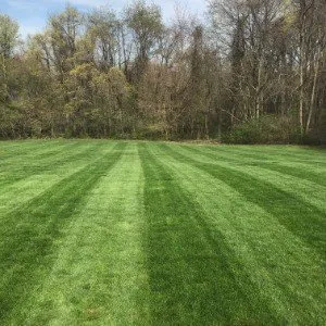 Reliable lawn care service in Avon, IN by Shades of Green Lawncare