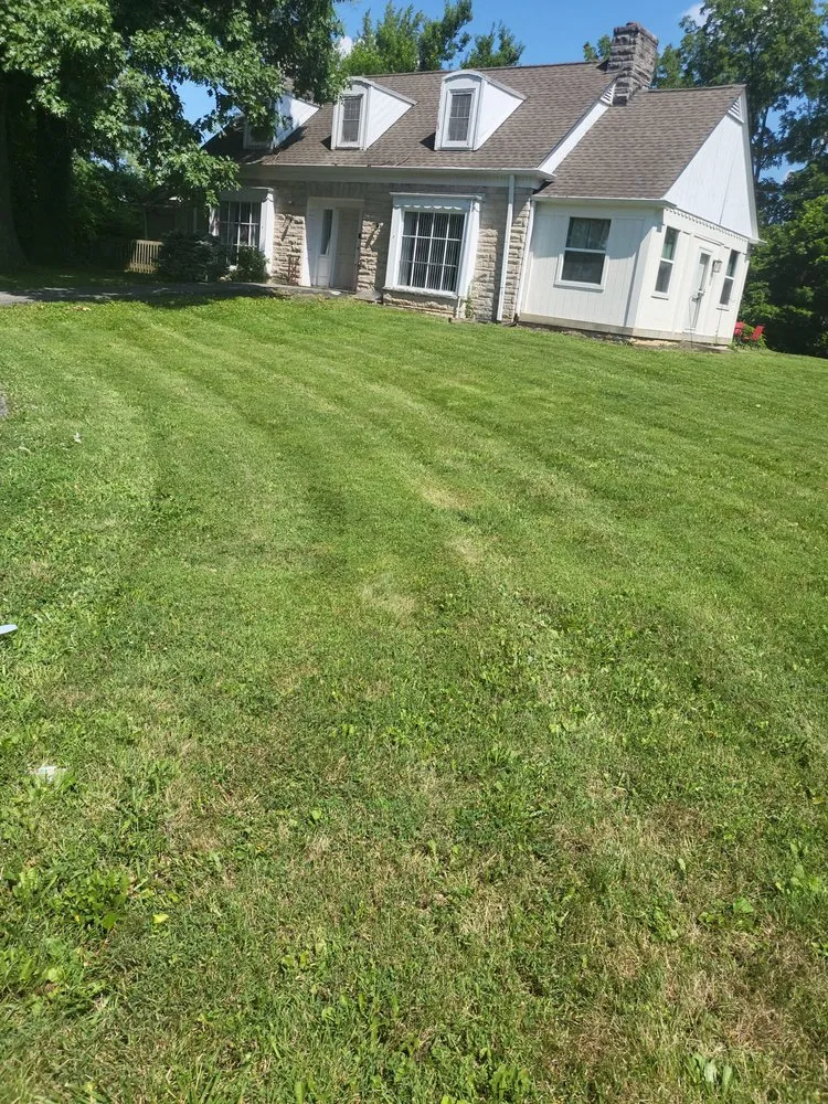 Top-rated yard cleanup service in Indianapolis, IN by Shades of Green Lawncare Services