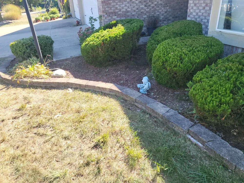 Top-rated yard cleanup service experts serving Indianapolis, IN - Shades of Green Lawncare Services