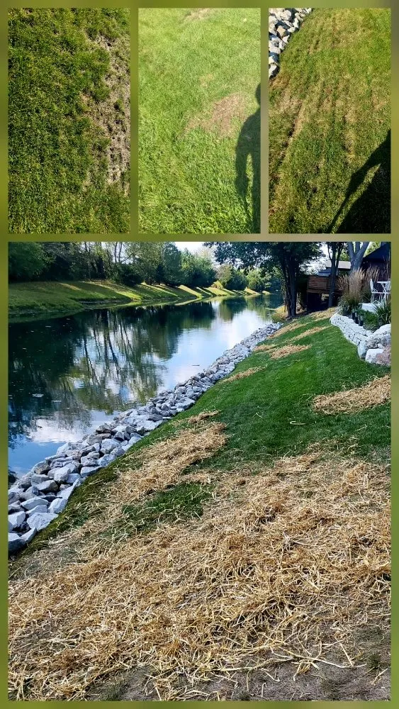 Professional landscape installation for year-round maintenance across Indianapolis, IN - Shades of Green Lawncare Services