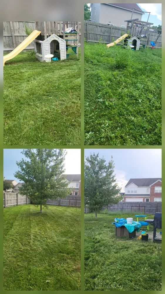 Expert lawn care service in Indianapolis, IN by Shades of Green Lawncare Services