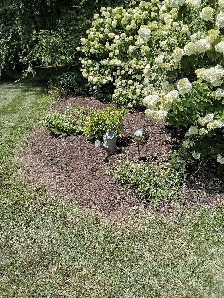 Reliable yard maintenance near you in Indianapolis, IN by Shades of Green Lawncare Services