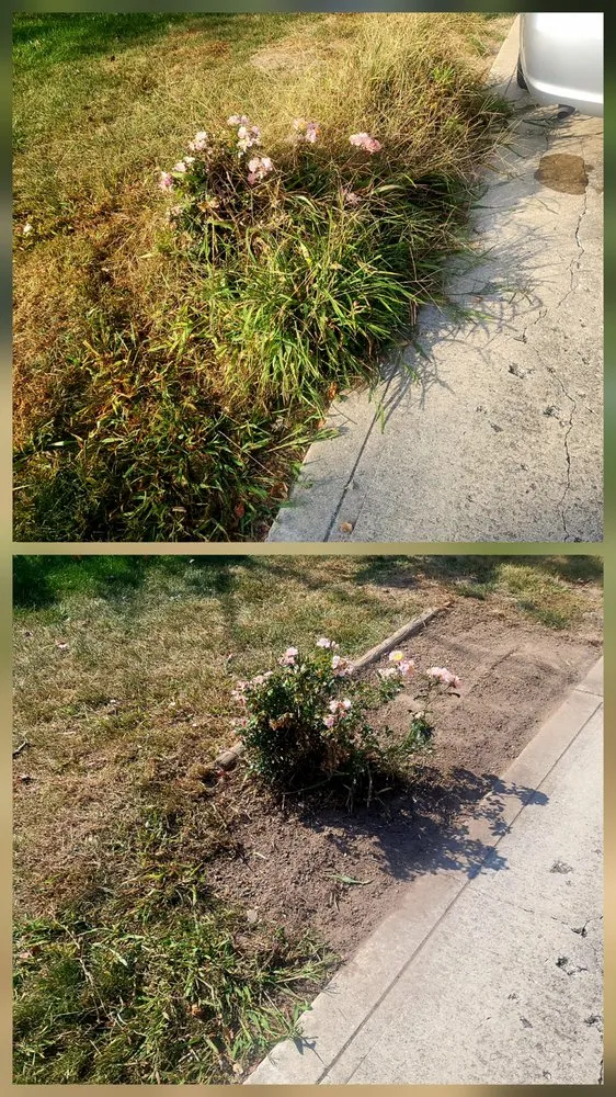 Top-rated residential landscaping in Indianapolis, IN - Shades of Green Lawncare Services