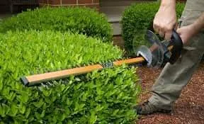 Top-rated yard cleanup service for beautiful yards across Montgomery, AL - Shades of Green