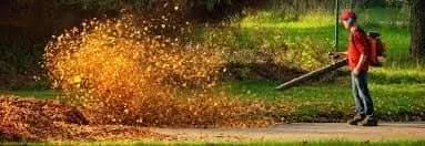 Reliable landscaping services for residential properties in Montgomery, AL by Shades of Green