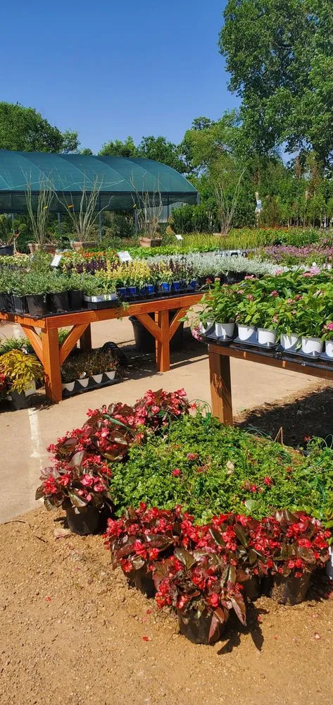 Affordable yard cleanup service for year-round maintenance across Frisco, TX - Shades of Green Nursery and Landscape