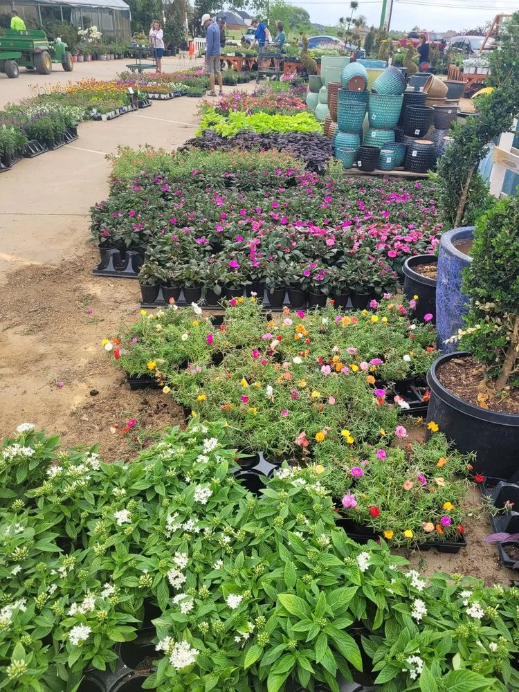 Affordable landscape installation in Frisco, TX - Shades of Green Nursery and Landscape