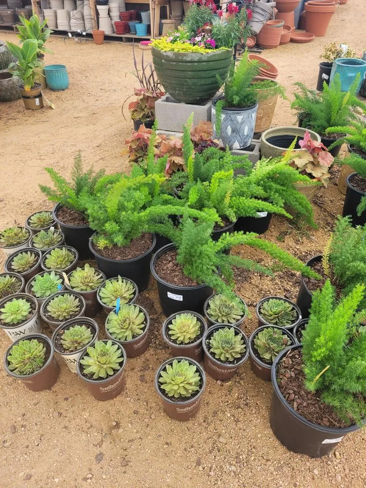 Custom landscape installation for homes across Frisco, TX - Shades of Green Nursery and Landscape