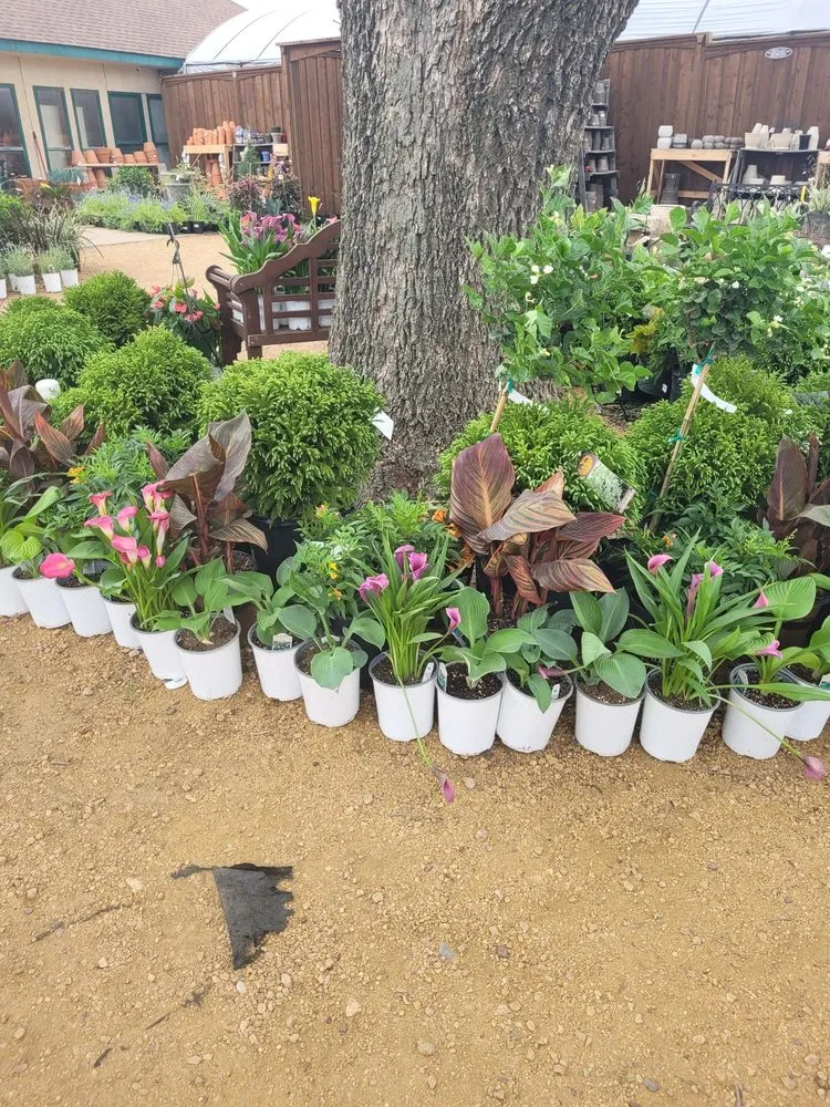 Affordable yard cleanup service experts serving Frisco, TX - Shades of Green Nursery and Landscape