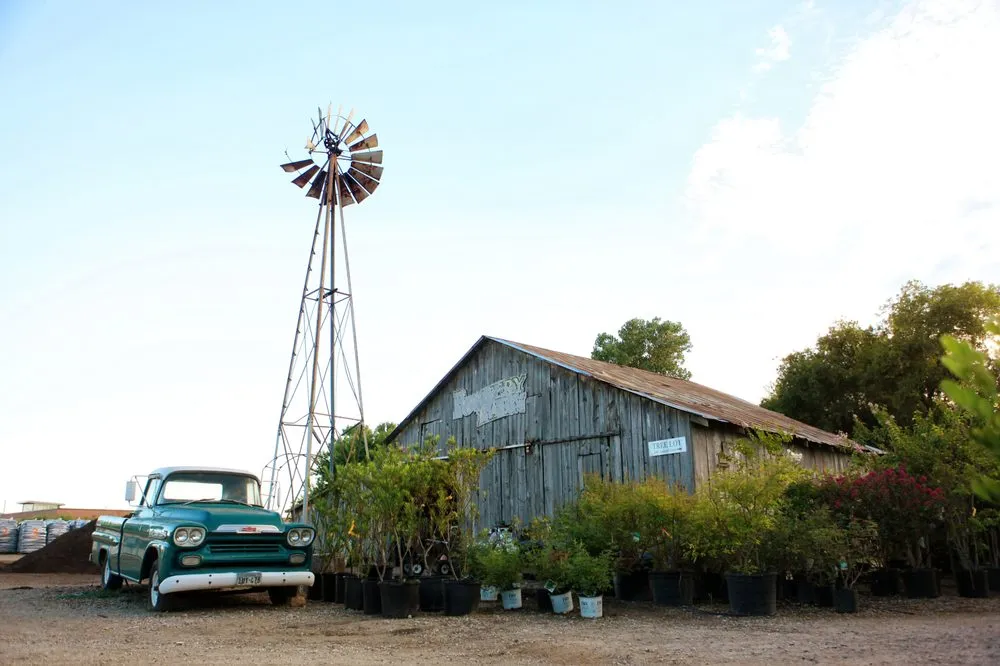 Affordable yard maintenance experts serving Frisco, TX - Shades of Green Nursery and Landscape