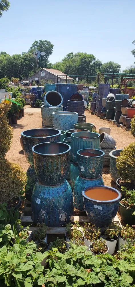 Affordable lawn mowing service experts serving Frisco, TX - Shades of Green Nursery and Landscape