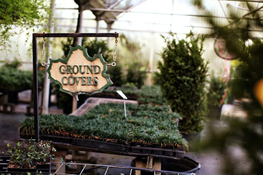 Expert outdoor landscaping in Frisco, TX - Shades of Green Nursery and Landscape
