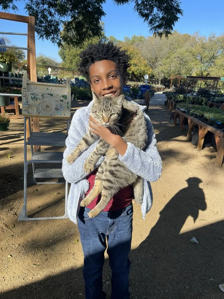 Expert landscaping services in Frisco, TX - Shades of Green Nursery and Landscape