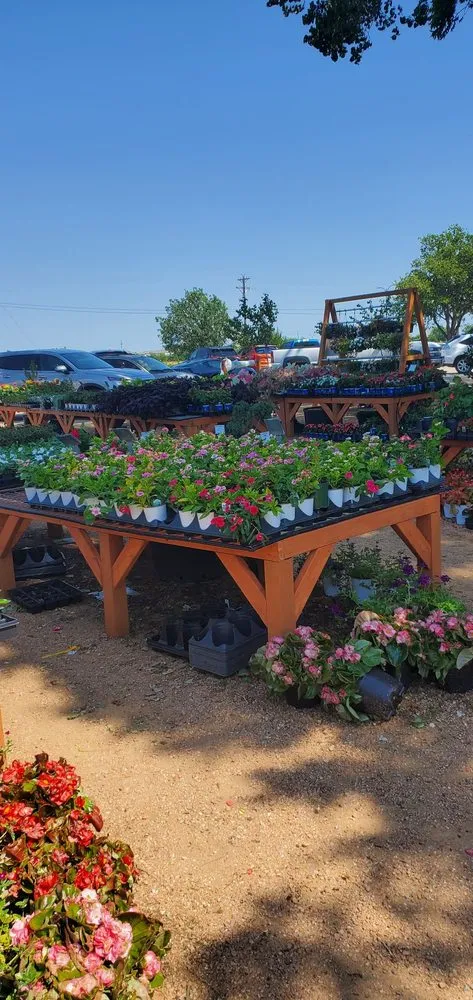 Top-rated yard cleanup service experts serving Frisco, TX - Shades of Green Nursery and Landscape