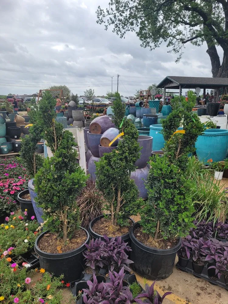 Top-rated garden landscaping in Frisco, TX - Shades of Green Nursery and Landscape