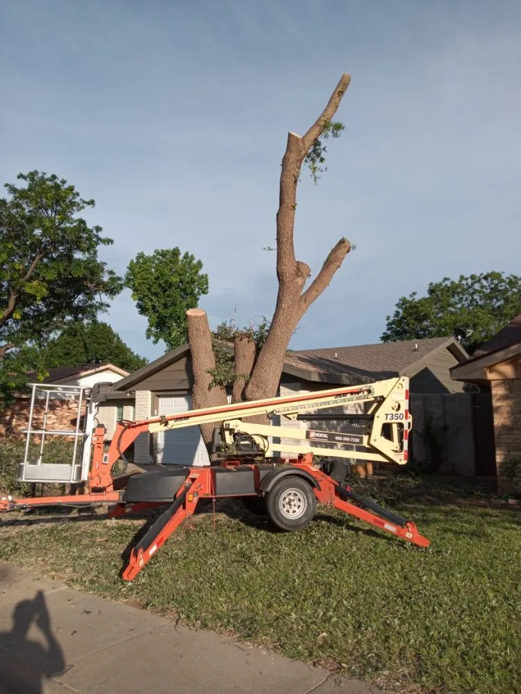 Affordable yard maintenance experts serving Odessa, TX - Shades of Green