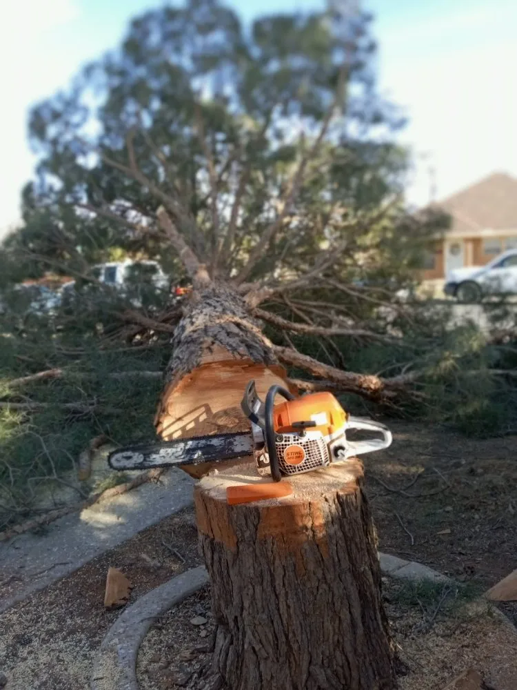 Local outdoor landscaping in Odessa, TX - Shades of Green