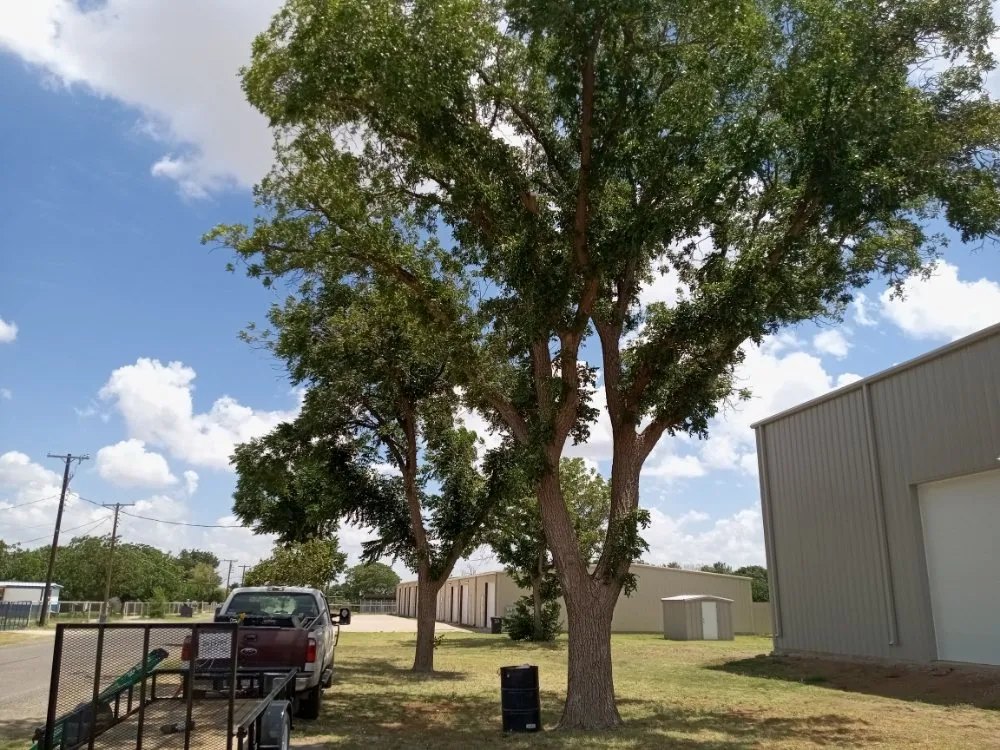 Local lawn care service experts serving Odessa, TX - Shades of Green