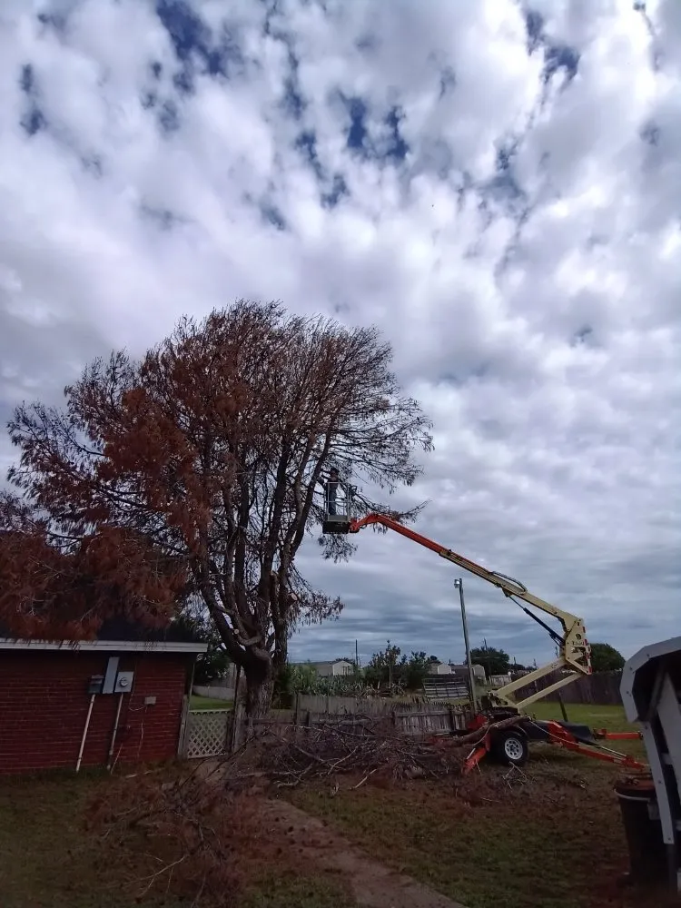 Trusted yard cleanup service in Odessa, TX - Shades of Green
