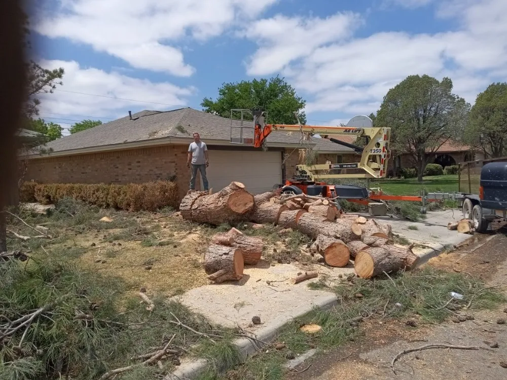 Expert landscape installation for residential properties across Odessa, TX - Shades of Green