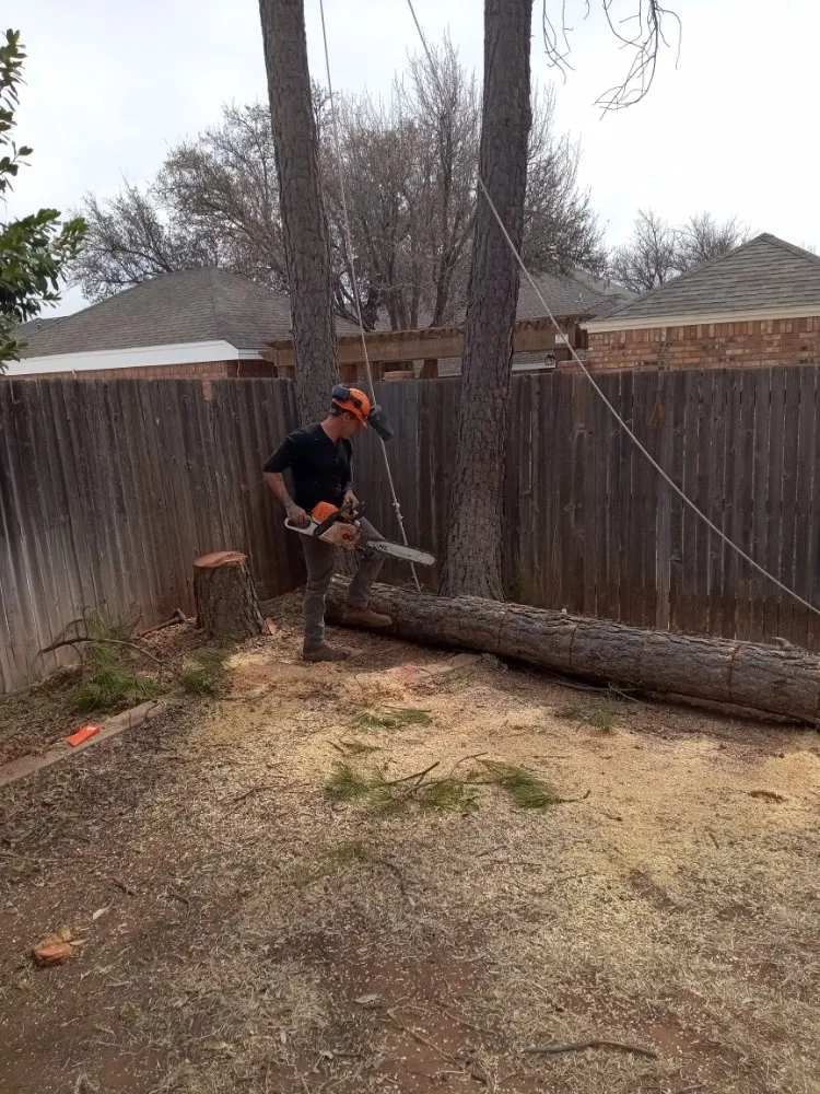 Local landscaping services in Odessa, TX by Shades of Green