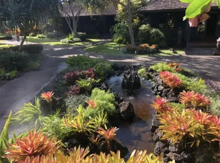Top-rated outdoor landscaping in Paia, HI by Shades Of Green