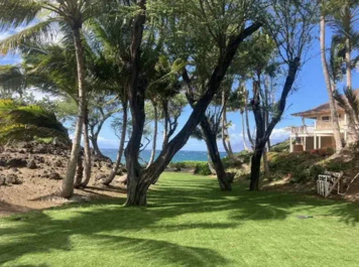 Reliable lawn care service in Paia, HI by Shades Of Green