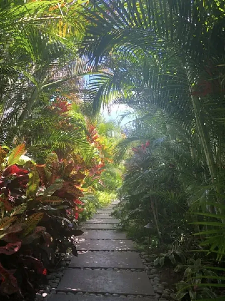 Expert landscape installation experts serving Paia, HI - Shades Of Green