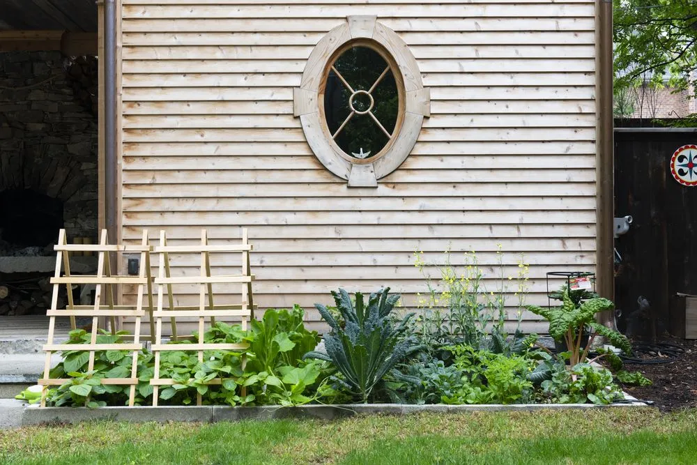 Professional lawn care service in Avondale Estates, GA - Shades of Green Permaculture