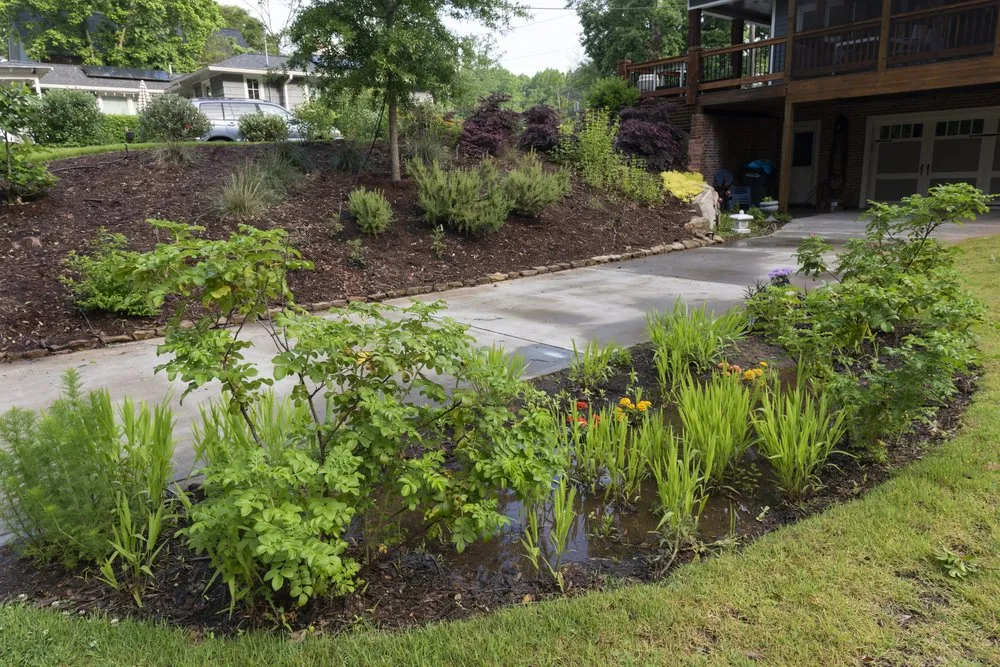 Professional residential landscaping in Avondale Estates, GA by Shades of Green Permaculture