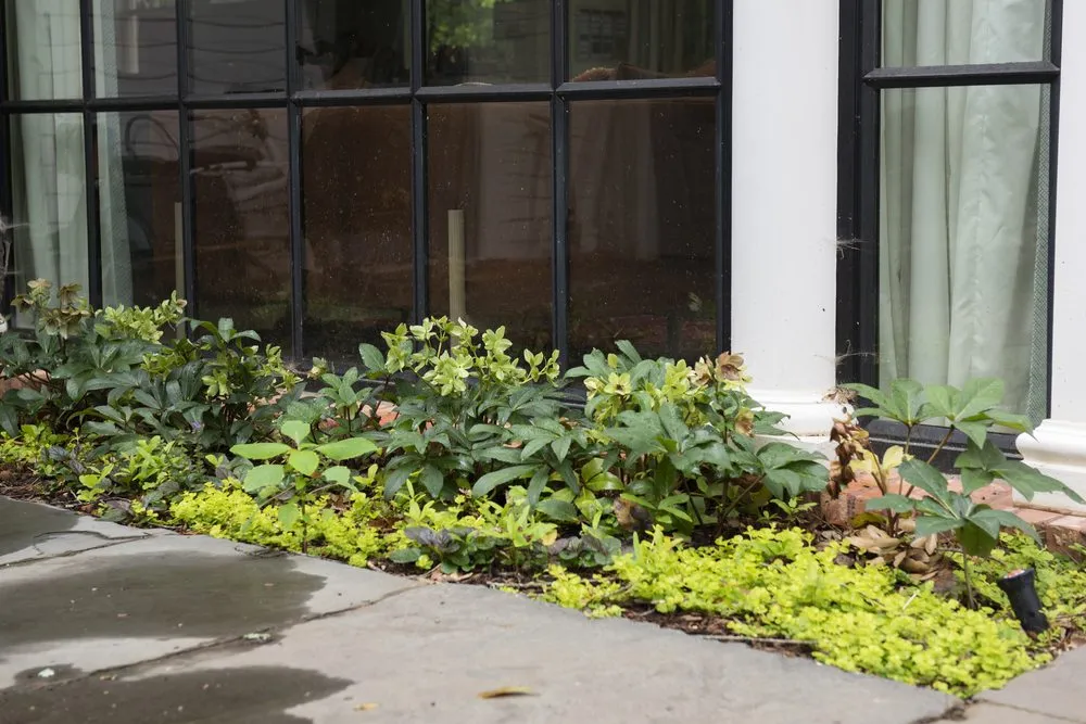 Top-rated yard maintenance in Avondale Estates, GA - Shades of Green Permaculture