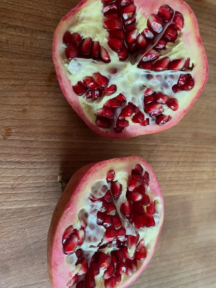 Professional yard cleanup service experts serving Avondale Estates, GA - Shades of Green Permaculture