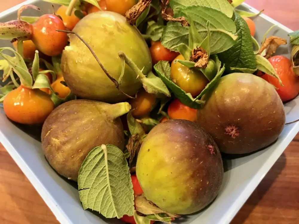 Local landscape installation experts serving Avondale Estates, GA - Shades of Green Permaculture