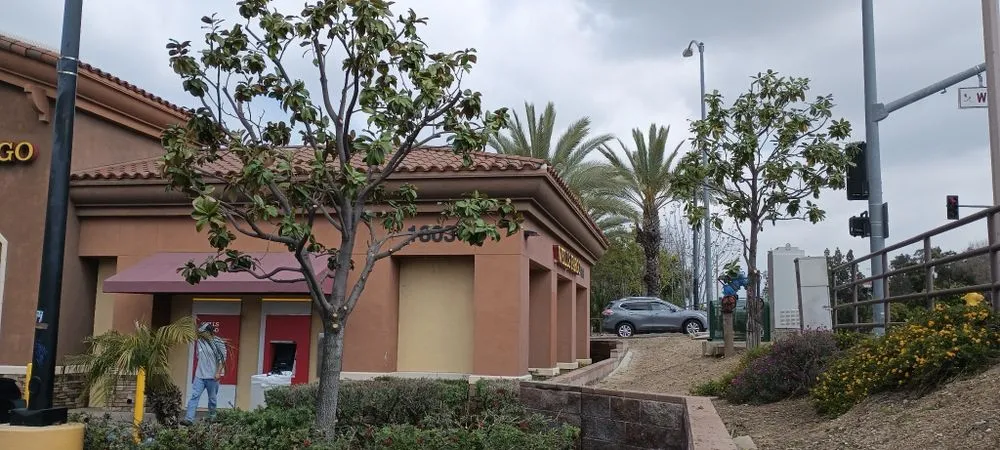 Custom yard cleanup service in Whittier, CA by Shades of Green Tree Service