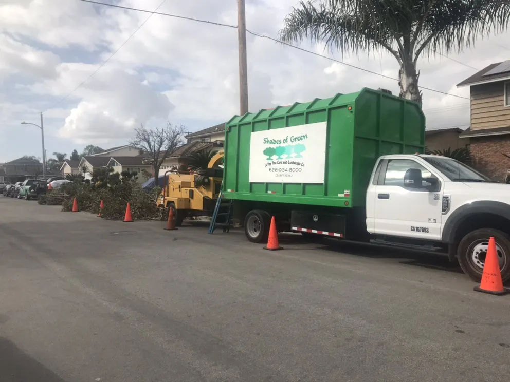 Affordable yard cleanup service in Whittier, CA by Shades of Green Tree Service