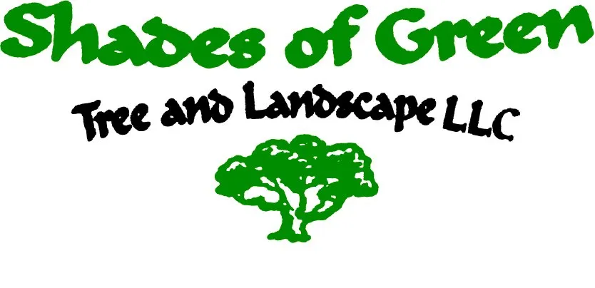 Top-rated residential landscaping in Whittier, CA - Shades of Green Tree Service