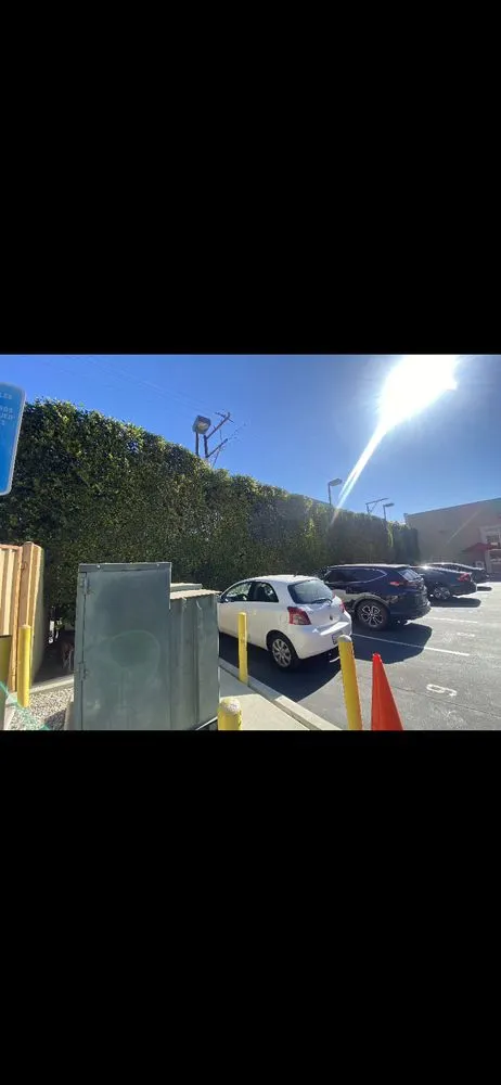 Local landscape design for outdoor upgrades across Whittier, CA - Shades of Green Tree Service