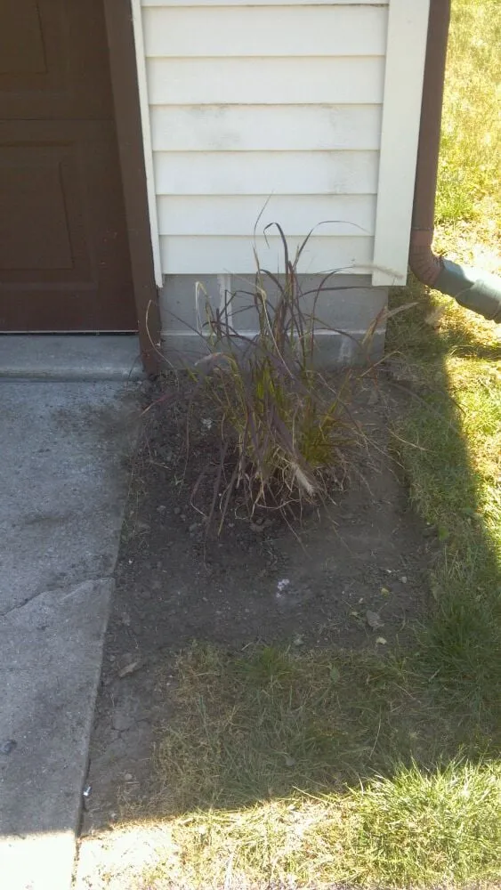 Custom lawn mowing service in Auburn, IL - Shades Of Green Unlimited