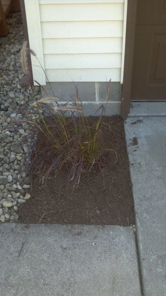 Local residential landscaping experts serving Auburn, IL - Shades Of Green Unlimited