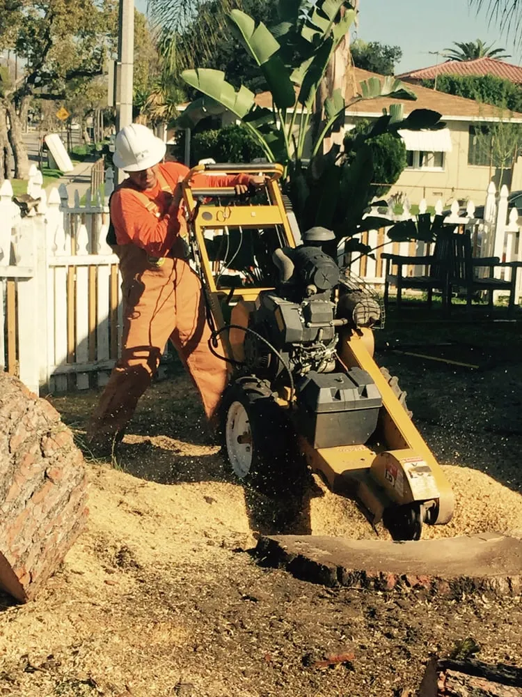 Expert outdoor landscaping experts serving La Puente, CA - Shades of Nature