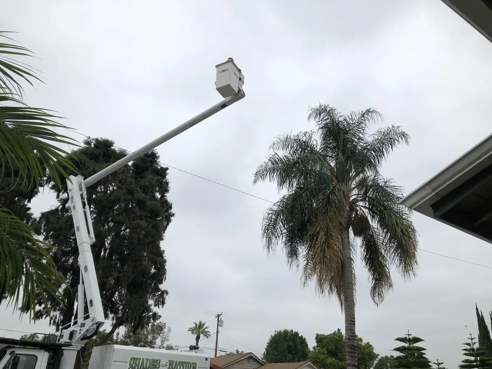 Custom landscape installation in La Puente, CA by Shades of Nature