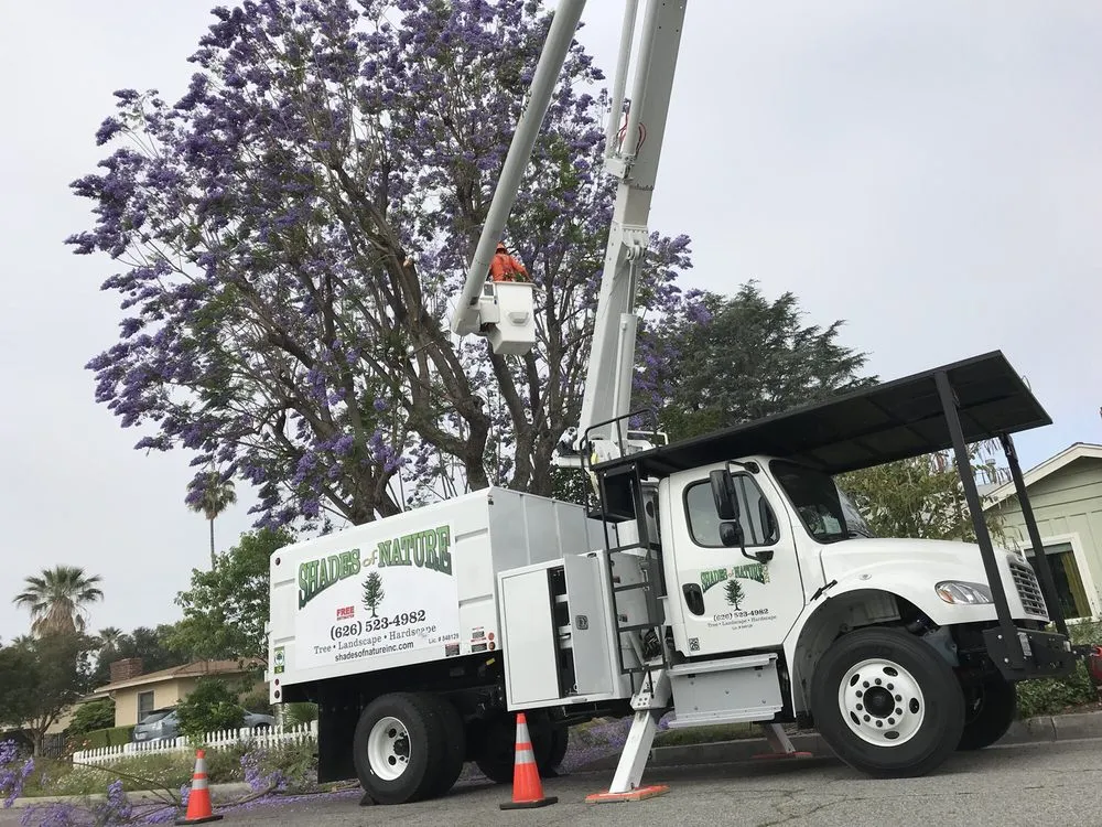 Expert yard cleanup service for outdoor upgrades across La Puente, CA - Shades of Nature