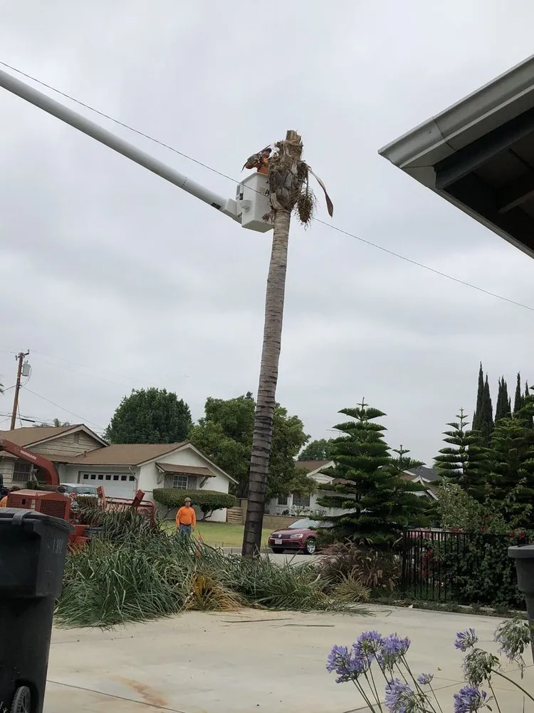 Reliable outdoor landscaping in La Puente, CA - Shades of Nature