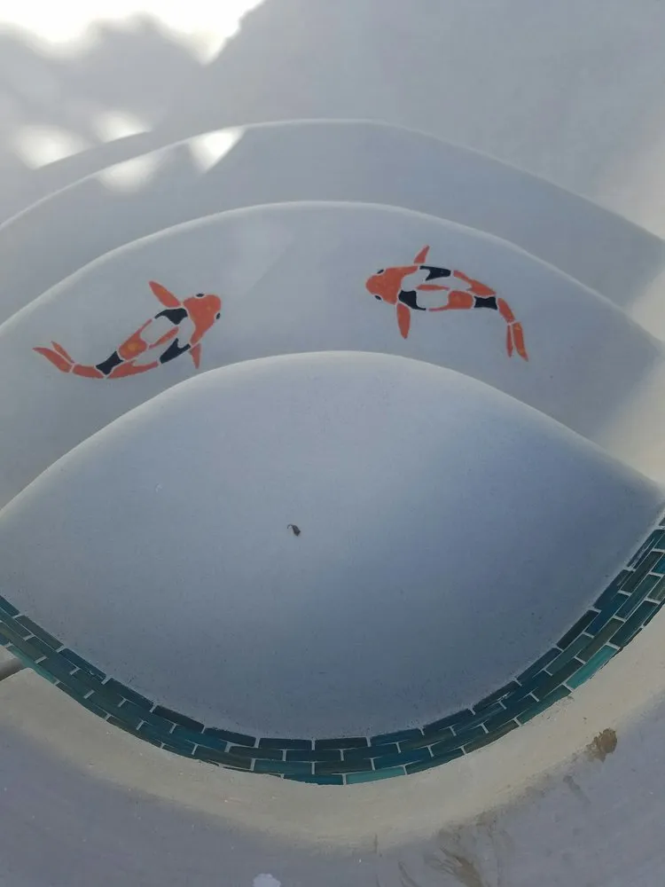 Affordable landscaping services for outdoor upgrades across La Puente, CA - Shades of Nature