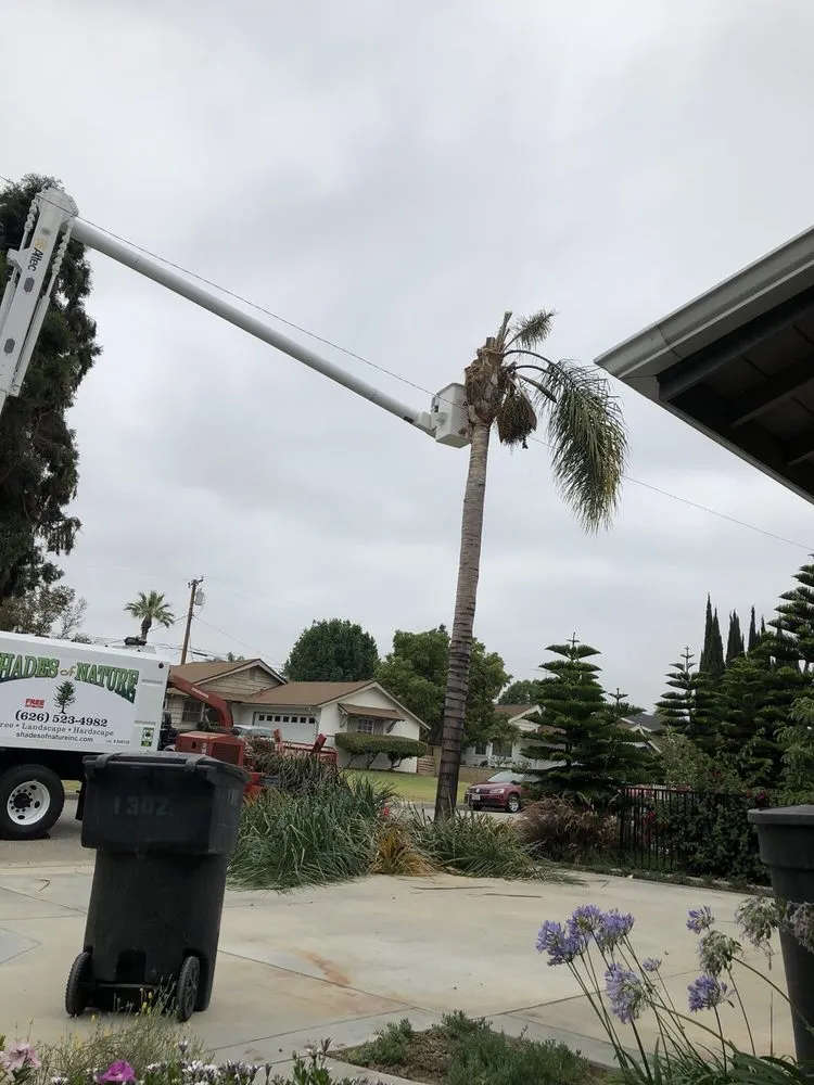 Custom outdoor landscaping for homes in La Puente, CA by Shades of Nature