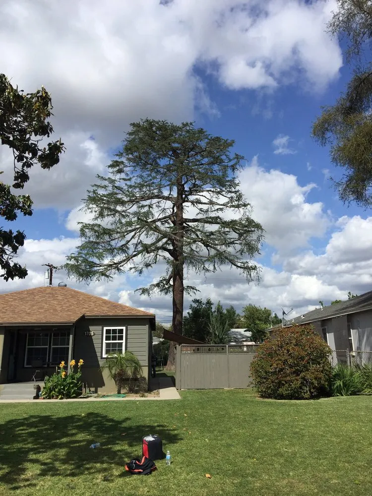 Affordable garden landscaping with custom design across La Puente, CA - Shades of Nature