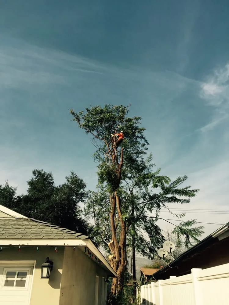 Reliable garden landscaping near you in La Puente, CA by Shades of Nature