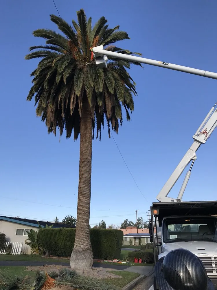 Trusted yard maintenance experts serving La Puente, CA - Shades of Nature