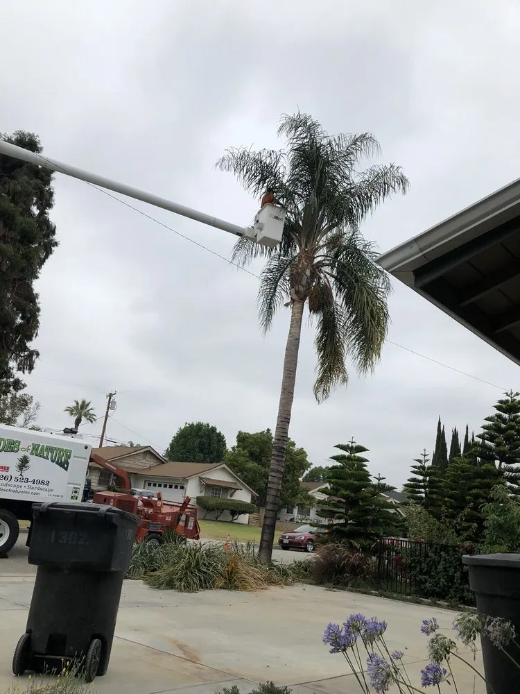 Professional lawn mowing service in La Puente, CA by Shades of Nature