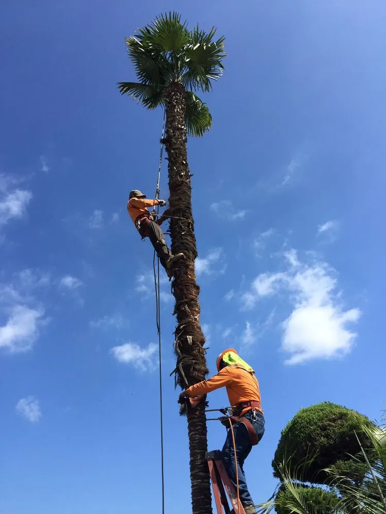 Trusted landscape installation experts serving La Puente, CA - Shades of Nature